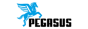 Pegasus